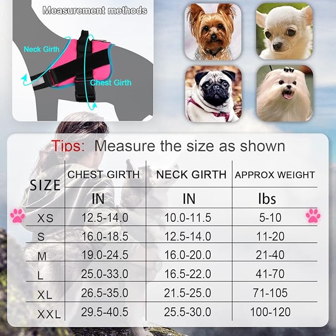 Bolux Dog Harness, No-Pull Reflective Dog Vest, Breathable Adjustable Pet Harness with Handle for Outdoor Walking - No More Pulling, Tugging or Choking X-Small (Pack of 1) RoseTurquoise Bolux