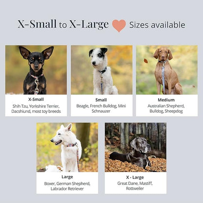 Lucky Love Dog - Adjustable Dog Collar with Easy Click Buckle for Small to Large Dogs, Durable, & Comfortable Collar for Male & Female Dogs, Pet Collar for Puppies & Adult Dogs - Carriebelle, Small LuckyLoveDog