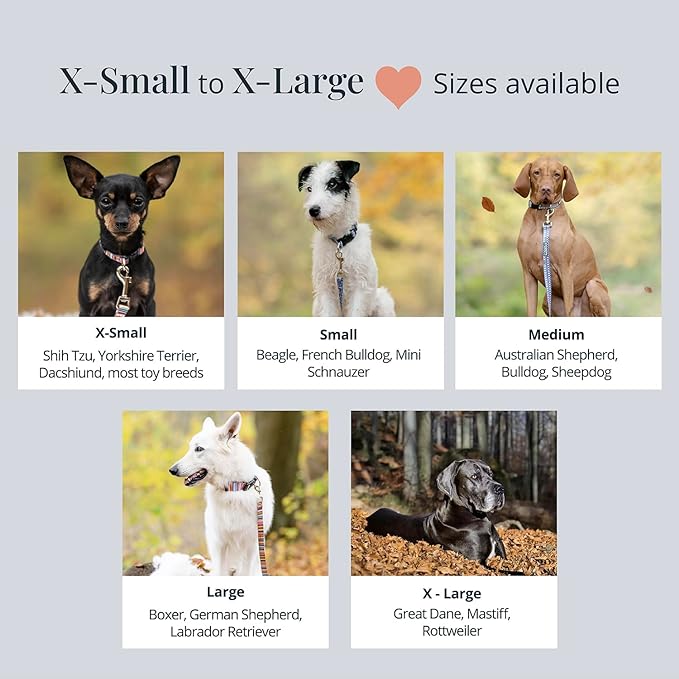 Lucky Love Dog Collars, Cute X-Small Dog Collars for Female Dogs, Part of Purchase Donated to Rescue, Caroline, Extra Small LuckyLoveDog