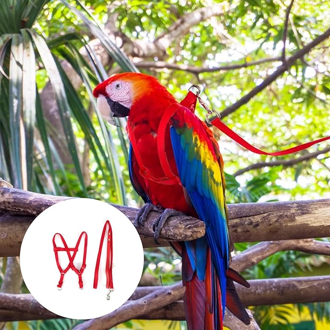 Pet Parrot Bird Harness and Leash, Adjustable Parrot Traction Harness Leash, Outdoor Flying Training Rope Anti Bite Training Rope for Parrot Macaw Cockatoos Yunnyp
