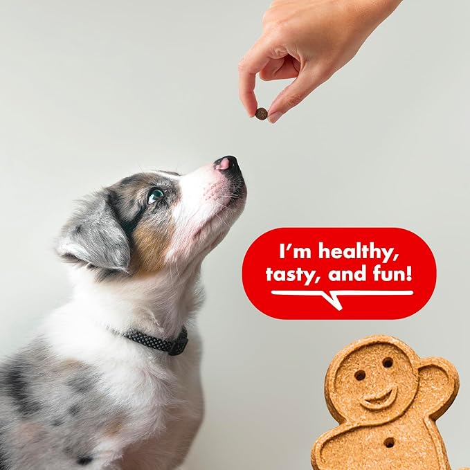 Buddy Biscuits Trainers Training Bites Soft & Chewy Dog Treats, Beef, 10 oz. Pouch - PAWPICO