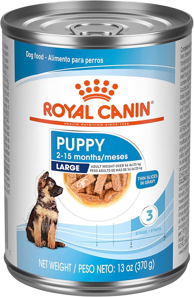 Royal Canin Size Health Nutrition Large Puppy Thin Slices in Gravy Wet Dog Food, 13 oz can (12-count) - PAWPICO