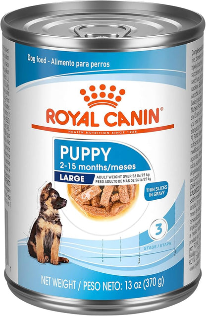 Royal Canin Size Health Nutrition Large Puppy Thin Slices in Gravy Wet Dog Food, 13 oz can (12-count) - PAWPICO