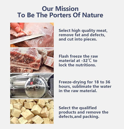 Freeze-Dried Salmon Training Raw Single Ingredient Cat Treats, Solve Pet's Picky Eating Problem(Salmon) - PAWPICO