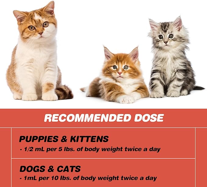 Iron Supplements for Cats-Liquid Iron Supplement for Anemia Cat-Polysaccharide Iron Complex Supports for Anemia in Cats Blood Health and Addresses Nutritional Deficiencies-Cat Care Essentials Ourea