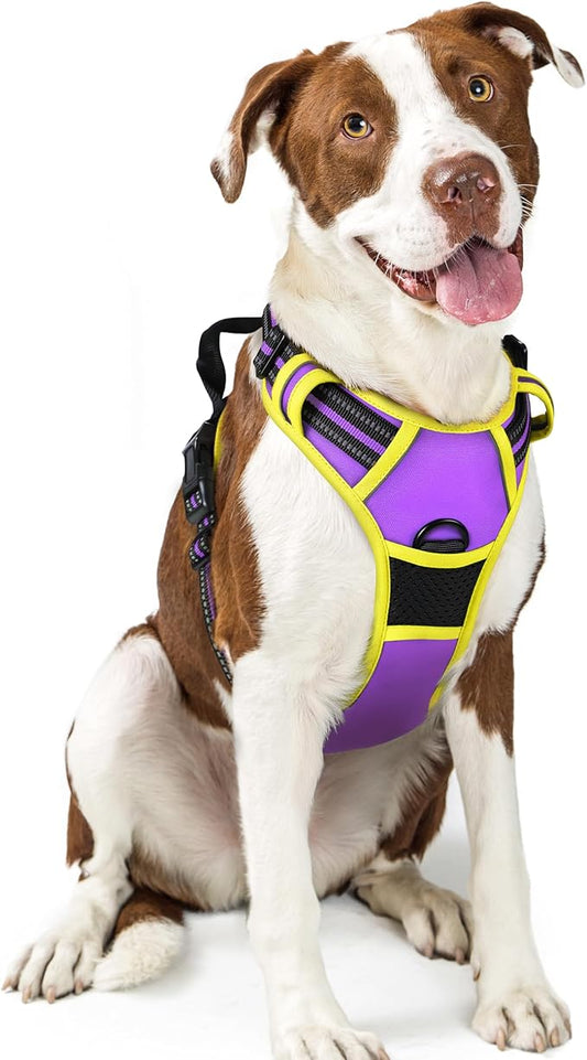 rabbitgoo Dog Harness No Pull with 2 Leash Clips, Adjustable Soft Padded, Reflective Oxford No Choke Pet Vest with Easy Control Handle for Large Dogs, Purple & Yellow, L rabbitgoo