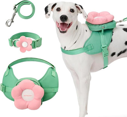 VETRESKA Flora Dog Harness, Leash and Collar Set, No Pull Dog Vest Harness for Walking and Training, Adjustable, Easy Control and Soft Padded Pet Harness and Backpack for Small Medium Large Dogs, M VETRESKA