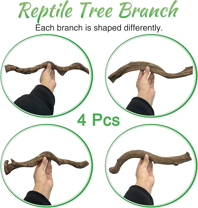 Reptile Climbing Branch Decor Wood Snake Terrarium Branches Lizard Habitat Decorations Wooden Tree Trunk Ornament for Bearded Dragon Geckos Chameleon Frog Pack of 4 (14-16 inch) Apatal