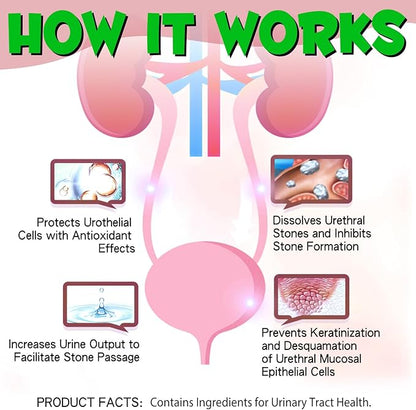 Urinary Tract for Cats, Natural Cat Urinary Tract Infection Treatment Drops - Supports Bladder, Kidney Stone, Dog UTI, Cranberry Kidney Bladder Support Supplement, Chicken Flavor - 60 ml / 2.02oz PAWPICO