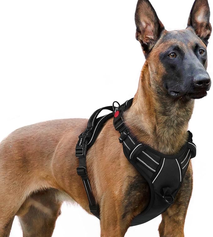 rabbitgoo Dog Harness for Large, No Pull Pet Harness with 3 Buckles, Adjustable Soft Padded Pooch Vest with Instant Control Handle, Easy Walking Reflective Pet Vest for Extra Large Dogs, Black, XL rabbitgoo