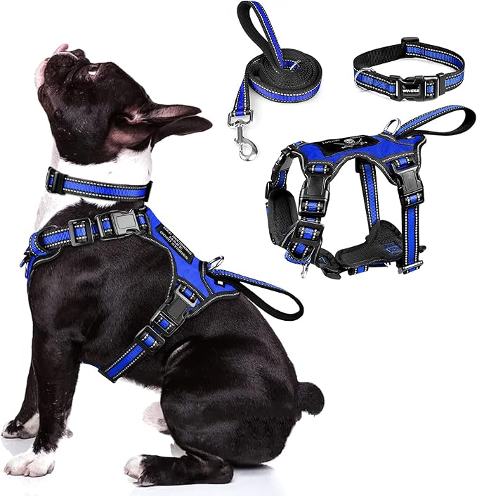 WINSEE Pet Harness Collar and Leash Set, All-in-one Reflective Dog Harness No Pull with Adjustable Buckles for Puppies, Small, Medium, Large, and Extra-Large Dogs (Medium, Dark Blue) WINSEE