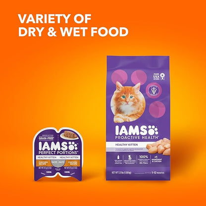 IAMS PROACTIVE HEALTH Healthy Kitten Dry Cat Food with Chicken, 7 lb. Bag - PAWPICO