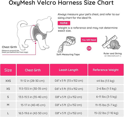 BELLA & PAL Puppy Harness with Leash Set, Dog Harness for Small Dogs No Pull, Dog Leash for Small Dogs, Step in Harness for Extra Small Dogs, Hot Pink Harness, XXS BELLAPAL