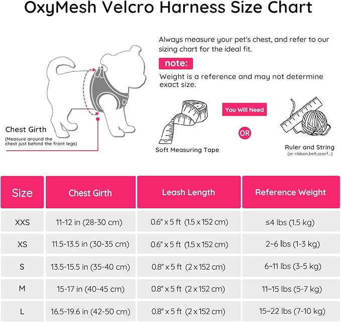BELLA & PAL Puppy Harness with Leash Set, Dog Harness for Small Dogs No Pull, Dog Leash for Small Dogs, Step in Harness for Extra Small Dogs, Hot Pink Harness, XS BELLAPAL