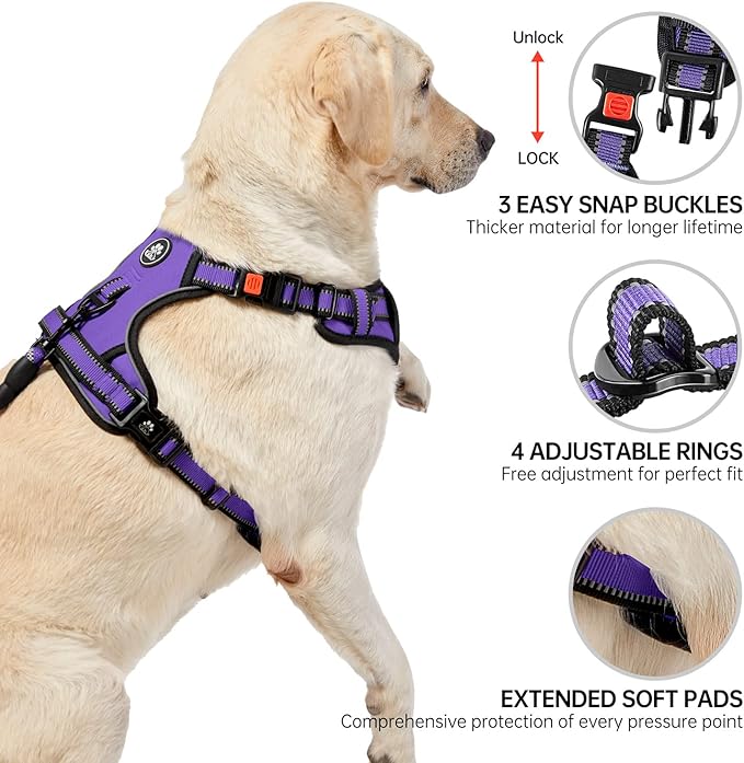 NESTROAD No Pull Dog Harness,Adjustable Oxford Dog Vest Harness with Leash,Reflective No-Choke Pet Harness with Easy Control Soft Handle for Large Dogs(Large,Purple) NESTROAD