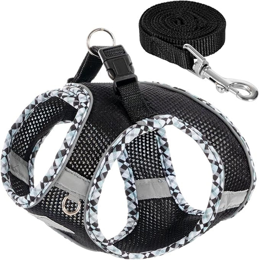 Dog Harness and Leash Set, No Pull Pet Harness for Small Dogs Easy Walking,Soft Breathable Small Dog Harness,Adjustable Reflective Step in Vest Harness for Puppy,Kitten, Cats TomteNisse
