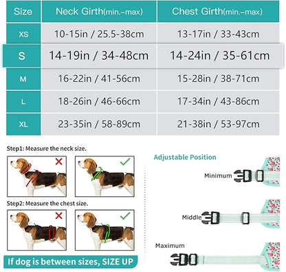 Timos Dog Harness, 3 Snap Buckles No-Pull Soft Padded Dog Vest with 2 Metal Leash Clips,Adjustable Reflective No Choke Pet Harness with Easy Control Handle for Small Dogs,Cyan,S Timos