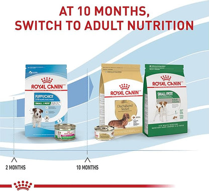 Royal Canin Size Health Nutrition Small Breed Dry Puppy Food, Supports Brain Development, Immune Support, and Digestive Health, 14 lb Bag - PAWPICO