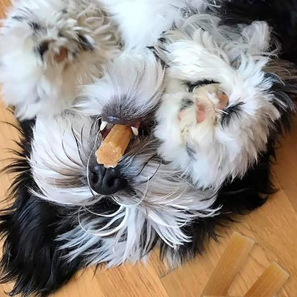 Himalayan Dog Chew Churro Yak Cheese Dog Chews, 100% Natural, Long Lasting, Gluten Free, Healthy & Safe Dog Treats, Lactose & Grain Free, Protein Rich, for All Breeds, Soft, Real Chicken Flavor, 4 oz - PAWPICO