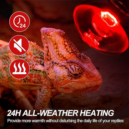WACOOL 2Pack 75W Reptile Heat Lamp Day & Night Kit, Nature Simulated Basking Daylight & Nightlight Heat Lamp Bulbs for Reptiles & Amphibians, UVA Heat Lamp for Bearded Dragon Gecko Turtle Lizard WACOOLTERRA