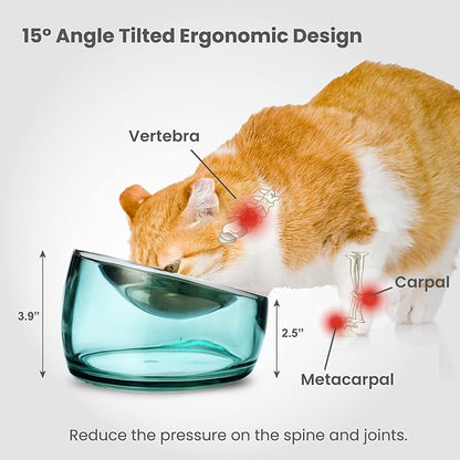 Felli Pet Oblik Whisker Fatigue Cat Bowl Raised Stainless Steel Shallow Dish, Tilted Anti Vomit Non Spill Wide Metal Plate for Puppy Small Dog, Slanted Dry Wet Food Feeder Elevated (0.5Cup, Classic) - PAWPICO