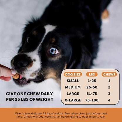 Pet Honesty Hip & Joint Health Max Strength - Natural Joint Supplement for Dogs Chews - Glucosamine, Omega-3s, Chondroitin, Green Lipped Mussel - Help Improve Mobility, May Reduce Discomfort (90 ct) PetHonesty