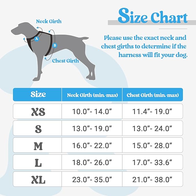 rabbitgoo Dog Harness No Pull with 2 Leash Clips, Adjustable Soft Padded, Reflective Oxford No Choke Pet Vest with Easy Control Handle for Small Dogs, Blue, S rabbitgoo