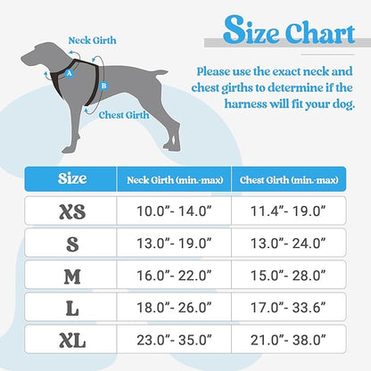 rabbitgoo Dog Harness No Pull with 2 Leash Clips, Adjustable Soft Padded, Reflective Oxford No Choke Pet Vest with Easy Control Handle for Small Dogs, Blue, S rabbitgoo