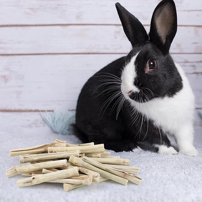 800g/1.76lb Sweet Bamboo Sticks for Rabbits Bunny Chew Toys Molar Treats Snack for Small Animals Hamsters Chinchillas Guinea Pigs Heylcm