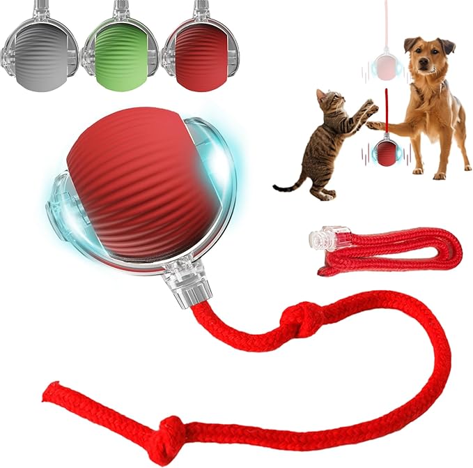 Interactive Dog Cat Toys Ball, Electric Rolling Ball Dog Toy, Automatic Moving Bouncing Toy Ball with Lights, Dog Toys to Keep Them Busy, Peppy Pet Ball for Bored Indoor Cats & Dogs (Red) - PAWPICO