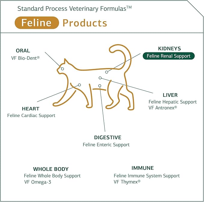 Standard Process Feline Renal Support - Cat Supplement to Support Kidney & Urinary Health - Cat Supplies with Whole Food Ingredients - Feline Supplement for Kidney Function Support - 90 Tablets StandardProcess