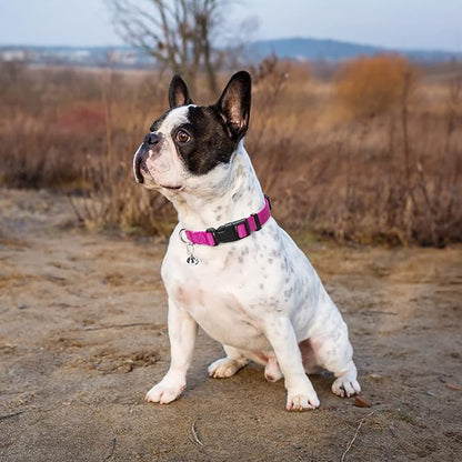 PUPTECK Adjustable Dog Harness Collar and Leash Set Step in No Pull Pet Harness for Small Medium Dogs Puppy and Cats Outdoor Walking Running, Soft Mesh Padded Reflective Vest Harnesses, Solid Pink XS PUPTECK