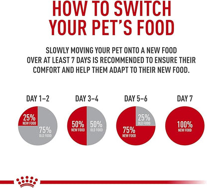 Royal Canin Indoor Adult Dry Cat Food, 15 lb bag - PAWPICO