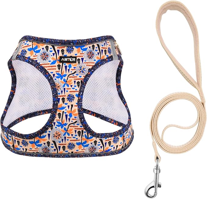 AMTOR Small Dog Harness with Leash Set, No Escape Easy Walk Puppy Harnesses for Training Walking, Step-in Reflective Soft Dogs Vest for XS S Medium Extra-Small Large Sized Dog(Beige Coconut) AMTOR