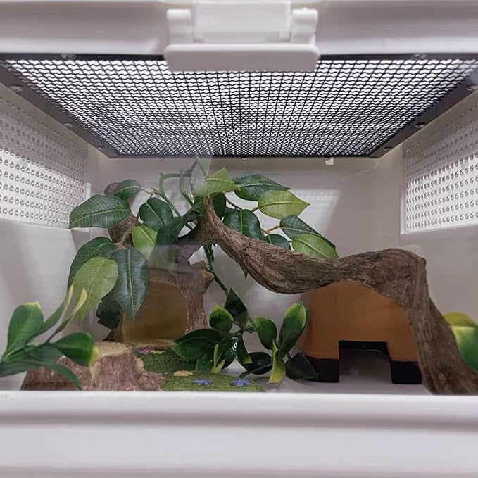 Reptile Decor Natural Forest Branch Terrarium Habitat Driftwood Decoration Lizard Climbing Tree Branch for Bearded Dragon Gecko Snake Frog Chameleon Spider 4PCS BNOSDM