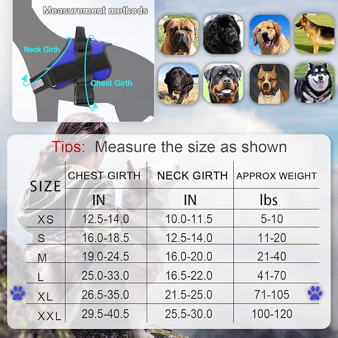 Bolux Dog Harness, No-Pull Reflective Dog Vest, Breathable Adjustable Pet Harness with Handle for Outdoor Walking - No More Pulling, Tugging or Choking (Blue, XL) Bolux