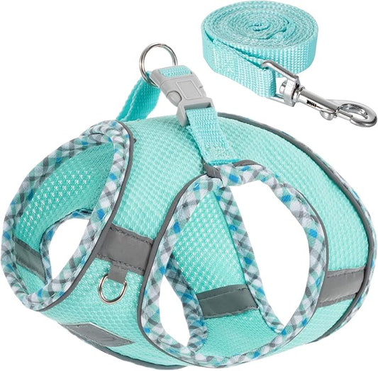Dog Harness and Leash Set, No Pull Pet Harness for Small Dogs Easy Walking,Soft Breathable Small Dog Harness,Adjustable Reflective Step in Vest Harness for Puppy,Kitten, Cats TomteNisse