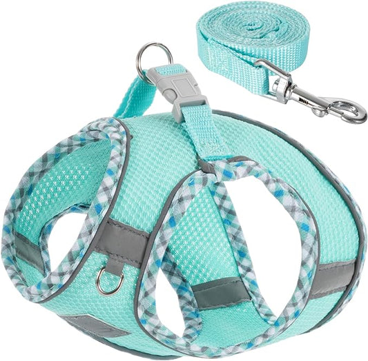 Dog Harness and Leash Set, No Pull Pet Harness for Small Dogs Easy Walking,Soft Breathable Small Dog Harness,Adjustable Reflective Step in Vest Harness for Puppy,Kitten, Cats TomteNisse