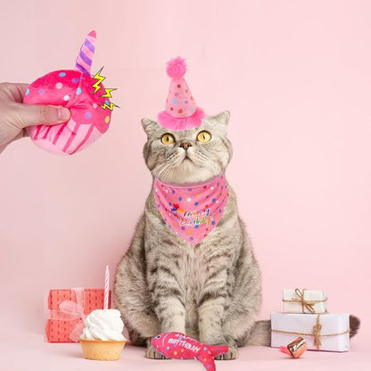 BINGPET Catnip Toys for Indoor Cats, Cat Birthday Hat and Interactive Plush Kitten Chew Toys - Cute Cake, Fish, Balloon Toys with Crinkle Paper and Catnip Inside Pink - PAWPICO
