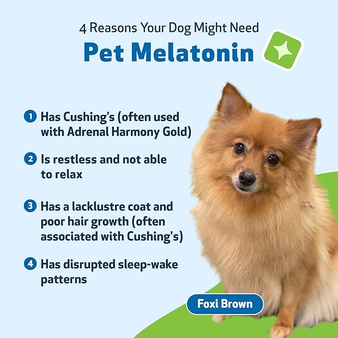 Pet Wellbeing Pet Melatonin for Dogs - Supports Adrenal Health, Cortisol Balance, Helps Maintain Normal Sleep Patterns - Veterinarian-Formulated Liquid Supplement 2 fl oz (59 ml) PetWellbeing