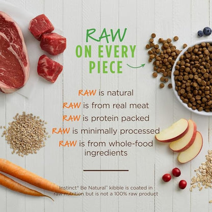 Instinct Be Natural Real Beef & Barley Recipe Natural Dry Dog Food, 25 lb. Bag - PAWPICO