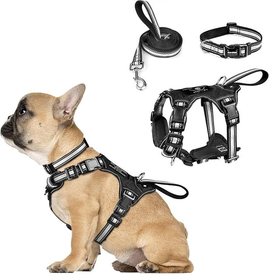 WINSEE Pet Harness Collar and Leash Set, All-in-one Reflective Dog Harness No Pull with Adjustable Buckles for Puppies, Small, Medium, Large, and Extra-Large Dogs (Small, Black) WINSEE
