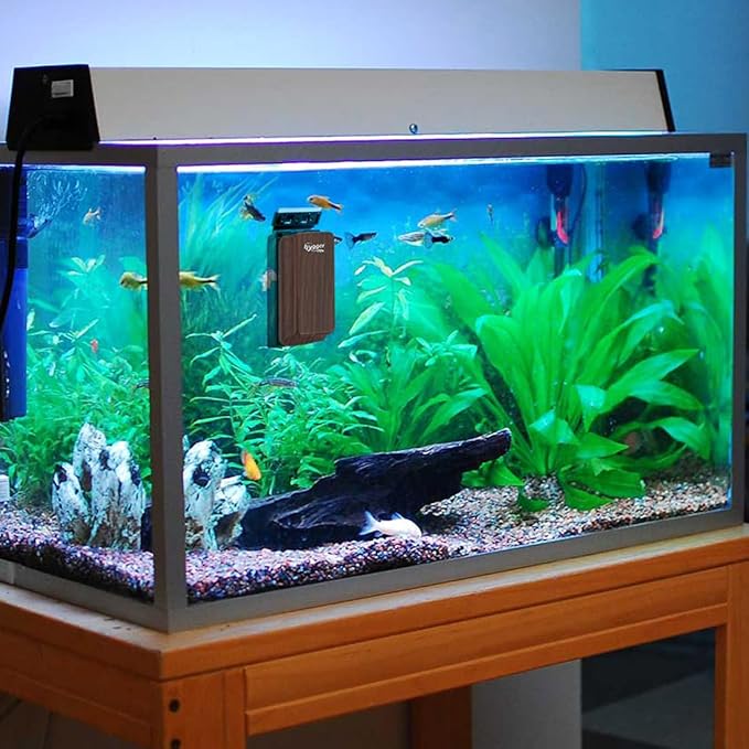 hygger Strong Magnetic Aquarium Glass Cleaner Algae Scrubber Magnet Cleaning Tool with Scraper Blade Floating Brush for 1/5" - 3/8" Glass Tank (Freshwater & Saltwater) Small hygger