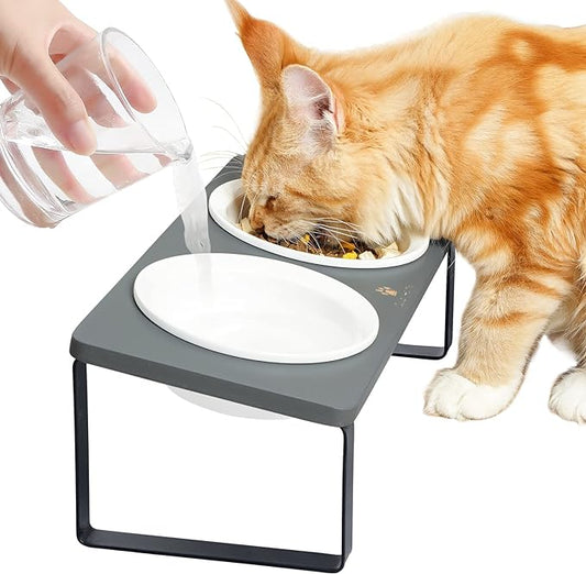 Sunhoo Ceramic Elevated Cat Bowls, Raised Puppy Dishes for Food and Water, Tilted Bamboo Stand for Anti Vomiting, Indoor 5.5 inch Wide Double Dish Orthopedic Anti-Vomiting (Grey) - PAWPICO