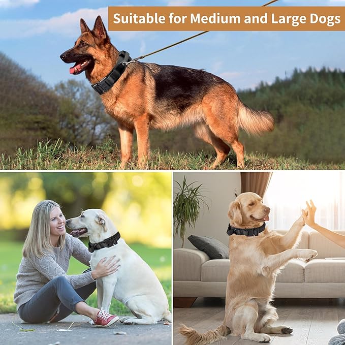 Tactical Dog Collar - Military Dog Collar, Adjustable Heavy Duty Metal Buckle Nylon Dog Collar with Control Handle for Small Medium Large Dogs (Black, M) - PAWPICO