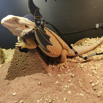 3 Size Pack Bearded Dragon Leash and Harness Set, Bearded Dragon Harness, Soft Leather Detachable Adjustable Reptile Lizard Leash Bearded Dragon (Golden) cyhaen