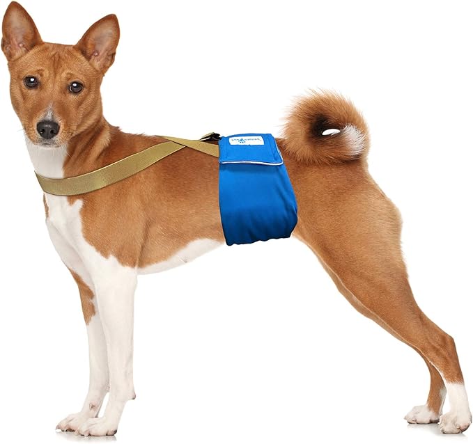 Paw Inspired Dog Diaper Suspenders with Velcro Fasteners | Stretchy Adjustable Suspenders for Female and Male Disposable and Washable Diapers | Fits Small, Medium and Large Size Pets (M/L, Brown) - PAWPICO