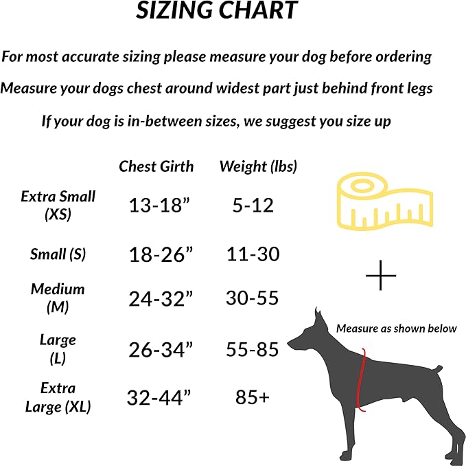 ShawnCo Essential Dog Harness, No-Pull Pet Vest with 3 Leash Clips, No Choke, Reflective, Adjustable and Padded, for Easy Walking and Training for Small, Medium and Large Dogs (Pacific Blue, M) SHAWNCO
