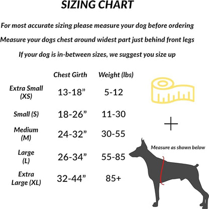 ShawnCo Essential Dog Harness, No-Pull Pet Vest with 3 Leash Clips, No Choke, Reflective, Adjustable and Padded, for Easy Walking and Training for Small, Medium and Large Dogs (Military Camo, L) SHAWNCO
