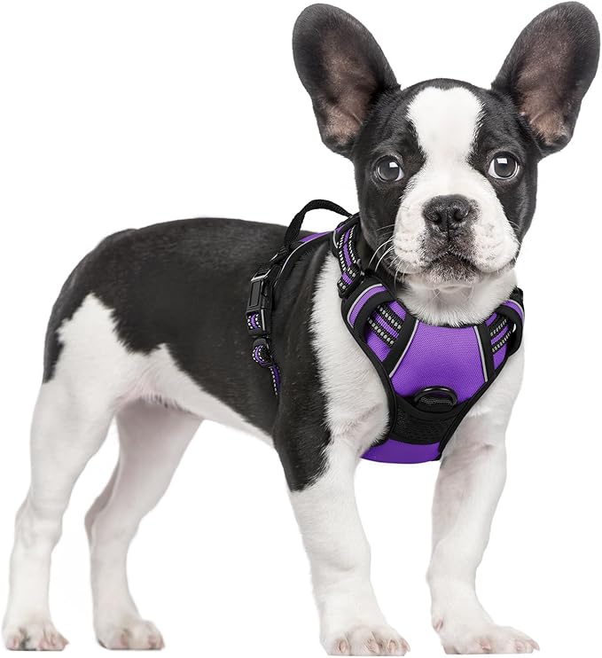 rabbitgoo Dog Harness No Pull with 2 Leash Clips, Adjustable Soft Padded, Reflective Oxford No Choke Pet Vest with Easy Control Handle for Small Dogs, Purple, S rabbitgoo